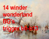 14 winter wonderland BG'