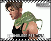 Chameleon Pet M/F