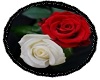Roses White & Red Rug