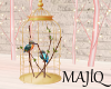 • Pretty Birdcage