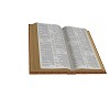 Open Book - Bible