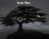 Secret Place Bundle