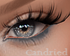 Perfect Green Liner