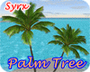 ! Palm Tree