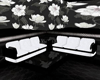 black and white couch