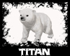 Polar Fiesty Teddy