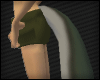 [AG] Zelda Tail
