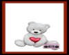 (SS)Teddy Bear Gift