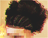Braids/ Afro