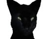Realistic Black Cat