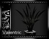[V] Black Plant
