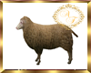 Sheep/Ovelha