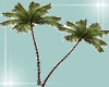 Palm animated