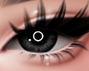 EYES BLACK PERFECT $