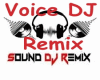 Voice DJ Remix