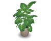 Plant Pot B