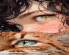 Cat Girl