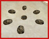 (LIR) KOBU Viking Stones