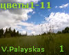 Palayskas.V