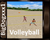 [BD] Volleyball