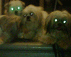 Puppies Aglow