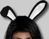 🐇 Ears Blk.