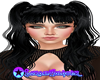 ! (LOH) Lauspie Black
