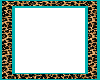 Leopard Aqua Avi Frame
