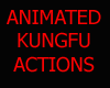 [DS]KUNGFU ACTIONS