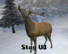 *Stag V3