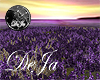 rD lavender field