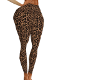 xlb leopard legging