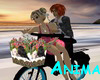 Bicycle in Love/ Animate