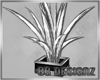 [BG]Silver Palm Plant