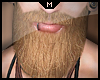 M Beard►Ast Skin 07