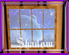 {SP}Snowy Window