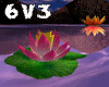 6v3| Lotus Flower