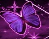 dream purple butterfly 