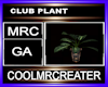 CLUB PLANT
