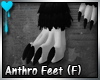 D~Anthro Ft: (F) Black