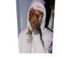 cutout trapper
