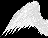 [Bratty] Angel wings