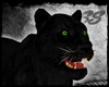[SS] Black Lioness