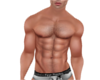 bodybuilder torso body m