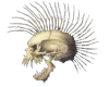Skull Mohawk