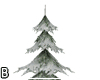 Snow Fir Tree