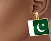 MY FLAG:PAKISTAN
