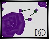 {DSD} Purple Roses