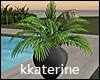 [kk] Pot  Plant 2