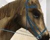 Kid Horse Scaled 40-50